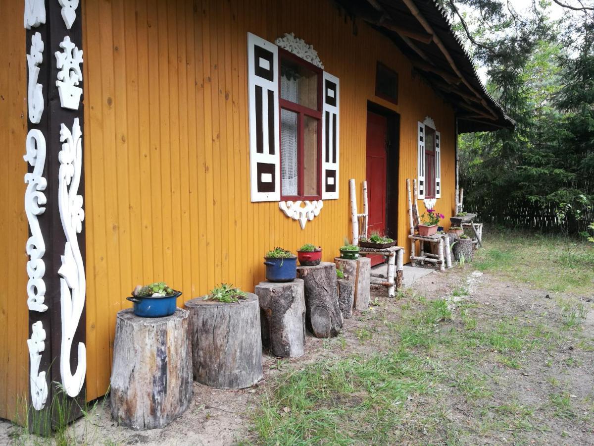 Bora Zdroj - Pokoj Czteroosobowy 1 Narewka Buitenkant foto